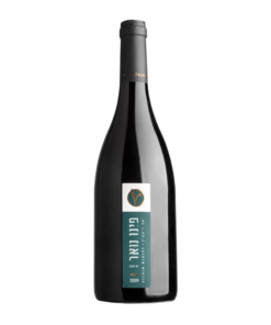 ויתקין פינו נואר (Vitkin Pinot Noir)