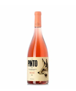 רוזה פינטו (Rose Pinto)