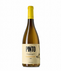 פינטו שרדונה (Pinto Chardonnay)