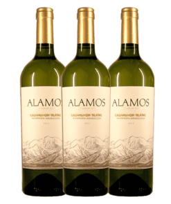 שלישיית יינות אלמוס סוביניון בלאן (Alamos Sauvignon Blanc)