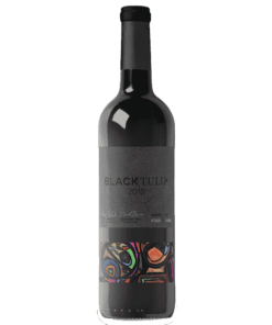 בלאק טוליפ מגנום (Tulip Black Magnum)