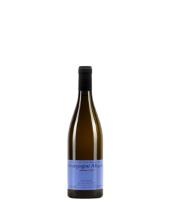 בורגון אליגוטה סילבאן פאטיי (Domaine Sylvain Pataille Bourgogne Aligoté)