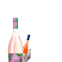 Group-47466-1-min