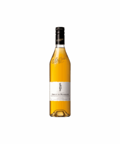 ג'יפארד ליקר ברנדי משמש (Giffard Liqueur Abricot du Roussillon)