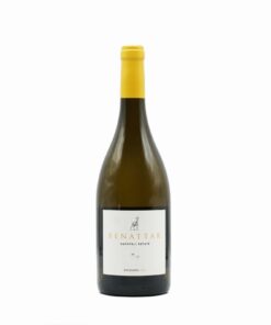 בן עטר רוסאן (Ben AttaR Roussanne)