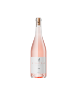בן עטר רוזה (Ben AttaR Rose)