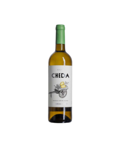 צ'דה לבן פורטוגל (Cheda White Wine Portugal)