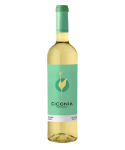 צ'יקוניה ברנקו לבן (Ciconia Branco Casa Alexandre Relvas)