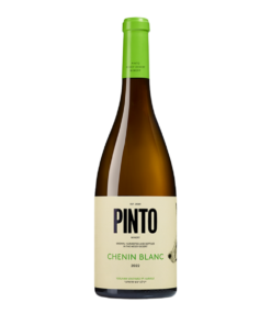 שנין בלאן 2025 פינטו (Pinto Chenin Blanc 2025)